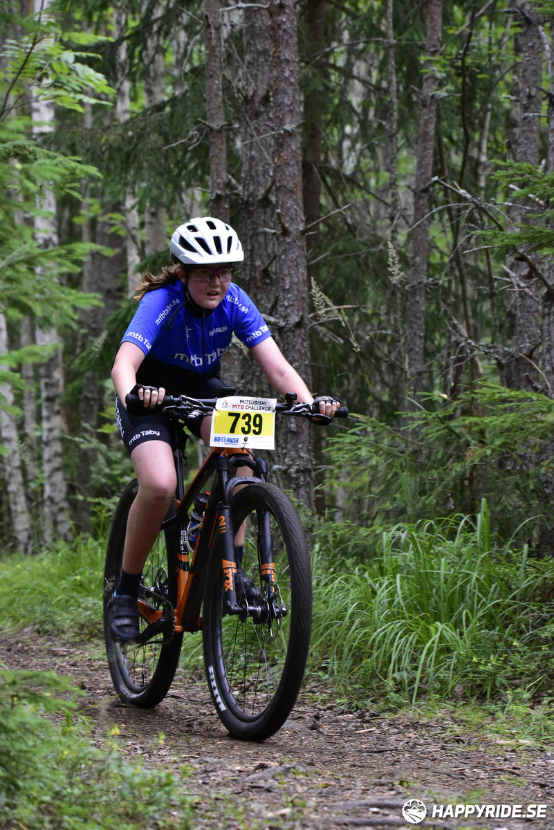 Bild från Engelbrektsturen 2019